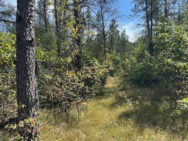 Land for sale in Juneau, Wisconsin