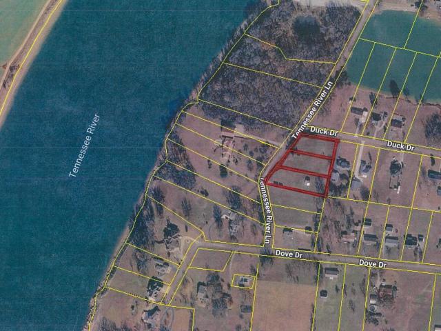 Land for sale in Savannah, West Tennessee