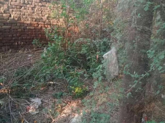 Land for sale in Okara, Islamabad Capital Territory