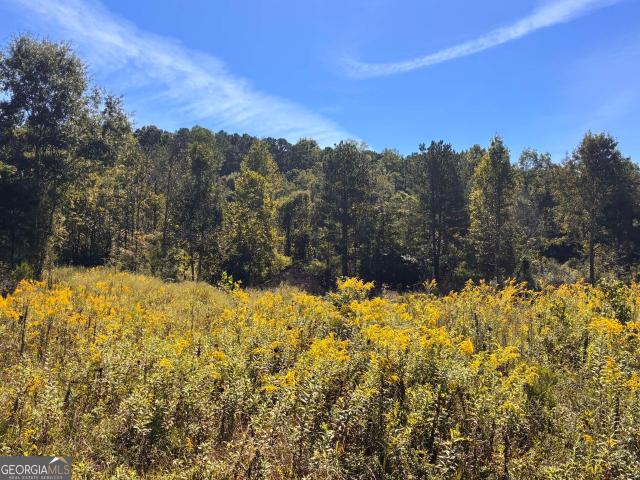 Land for sale in Lyerly, Chattooga County