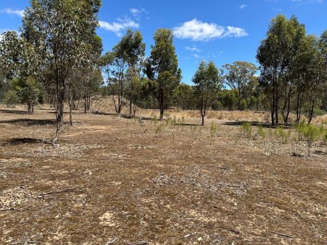 Cottage for sale in Carisbrook, Victoria