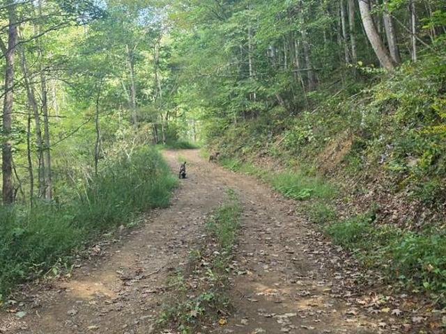 Land for sale in Busthead, Cedar Bluff