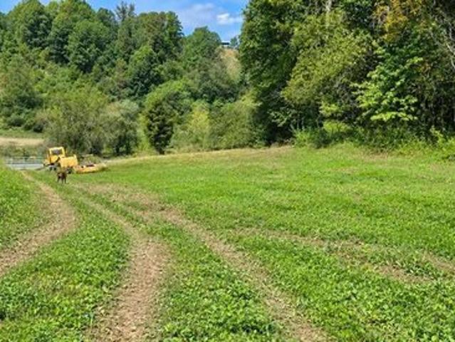 Land for sale in Cedar Bluff, Tazewell County
