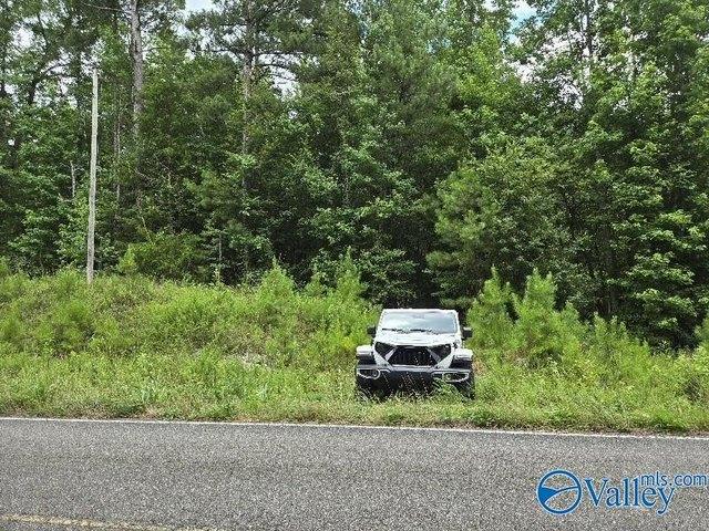 Land for sale in Lineville, Alabama