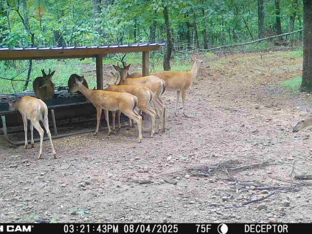 Land for sale in Upson, Georgia