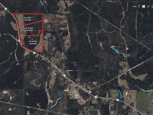 Land for sale in Lumberton, Mississippi