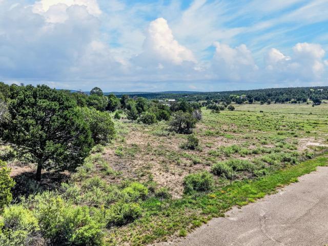 Land for sale in Tijeras, Bernalillo County