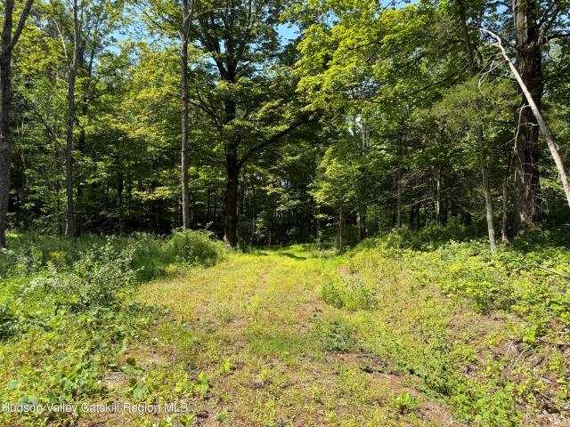 Land for sale in Elizaville, New York