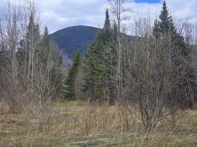 Land for sale in Temple, Maine