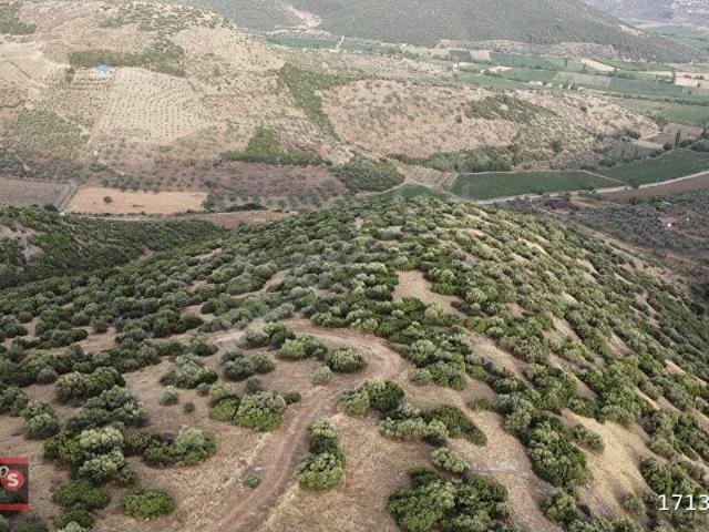 Kurşak Mahallesi, Tire içerisinde satılık mülk