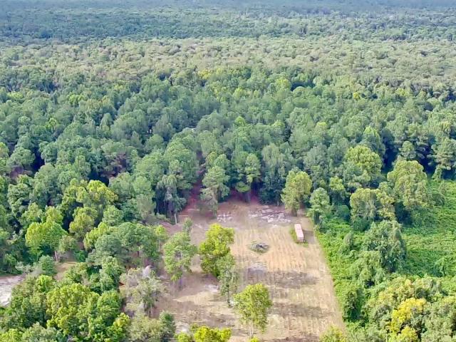 Land for sale in Belhaven, North Carolina