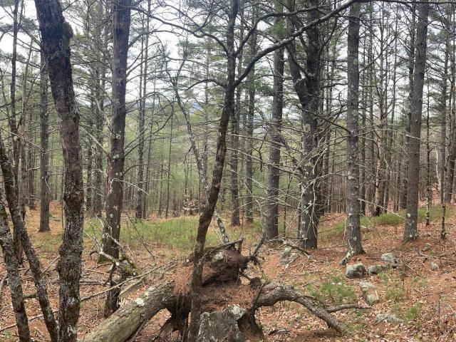 Land for sale in Chestertown, New York