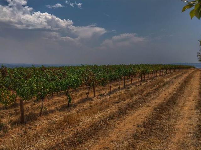 Commercial Land for sale in Western Cape