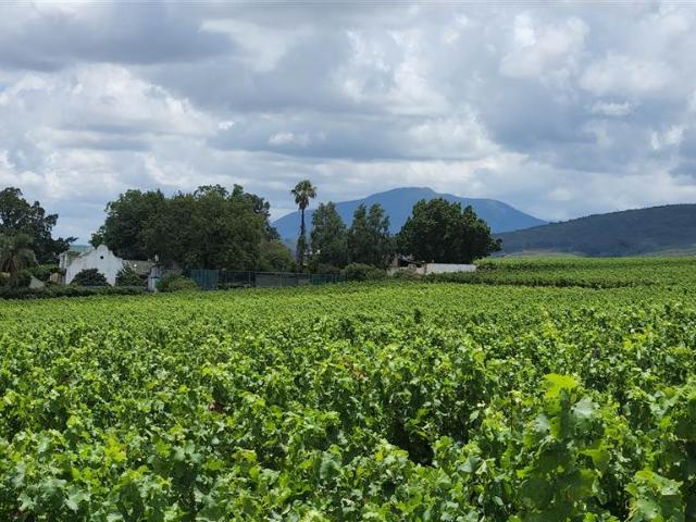 Farm for sale in Durbanville, Western Cape
