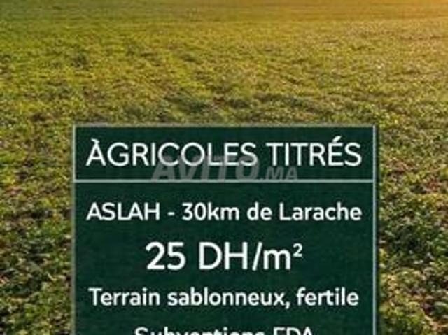 Propriété vente à Assilah, Tanger-Tétouan