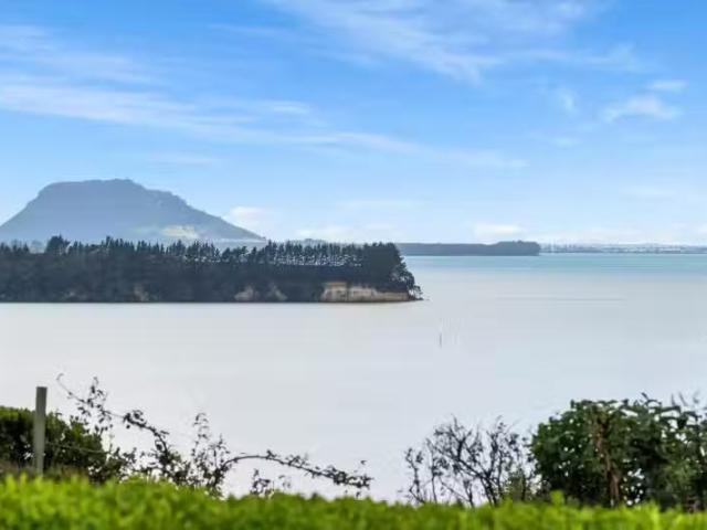 House for sale in Whakamarama, Bay Of Plenty