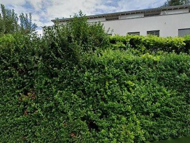 Apartment mieten in Oberdorf, Dornbirn