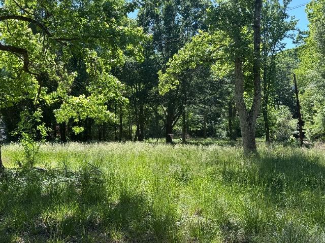 Land for sale in Temple, Georgia
