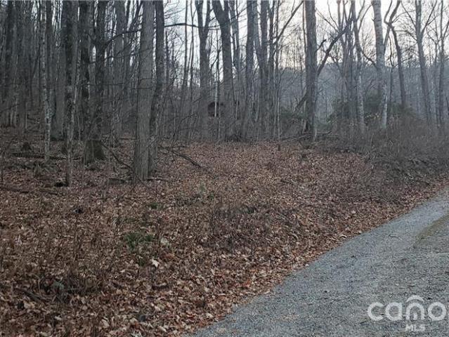 Land for sale in Haywood, North Carolina