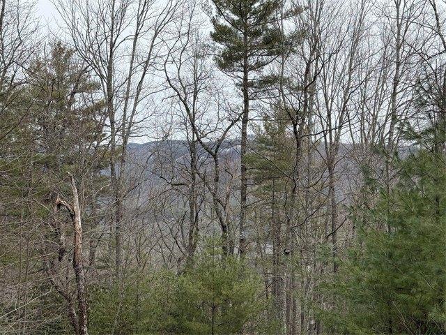 Land for sale in Transylvania, North Carolina