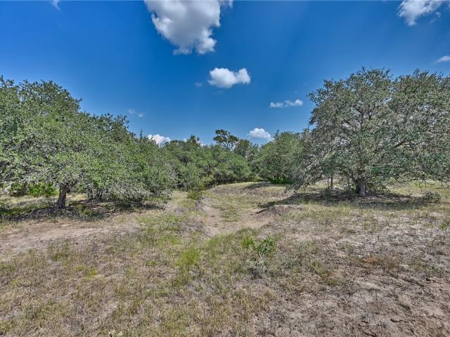 Land for sale in Lyons, Texas