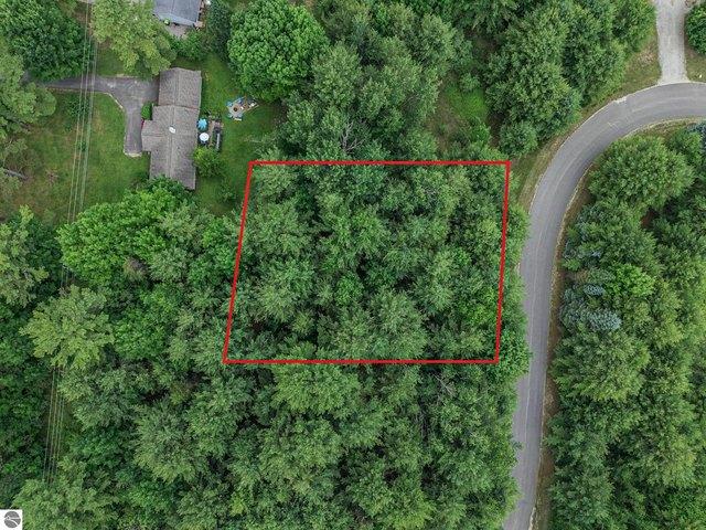 Land for sale in Michigan