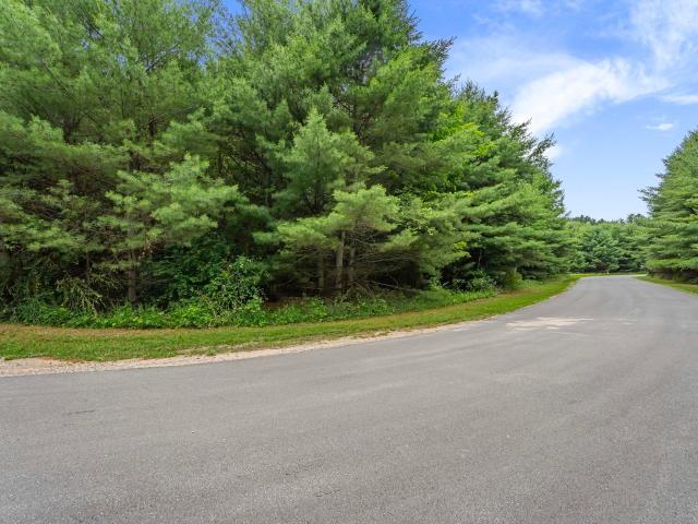 Land for sale in Eastport, Michigan