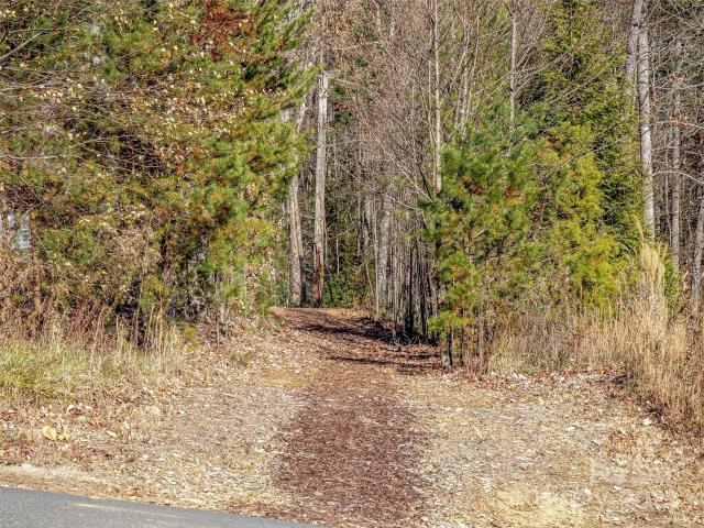 Land for sale in Fairview, North Carolina