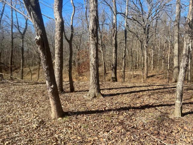 Land for sale in Tennessee