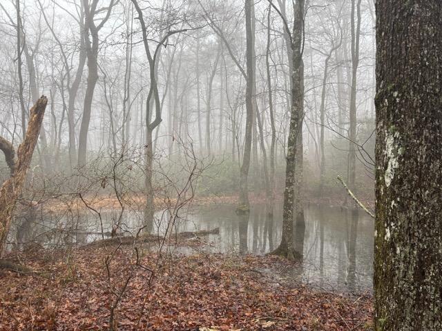 Land for sale in Tennessee