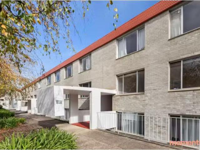 Apartment for rent in Mawson, District of Woden Valley