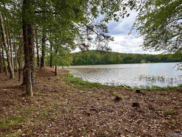 House for sale in Ohatchee, Alabama
