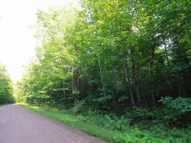 Land for sale in La Pointe, Wisconsin
