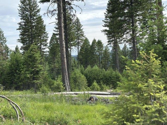 Land for sale in Republic, Washington