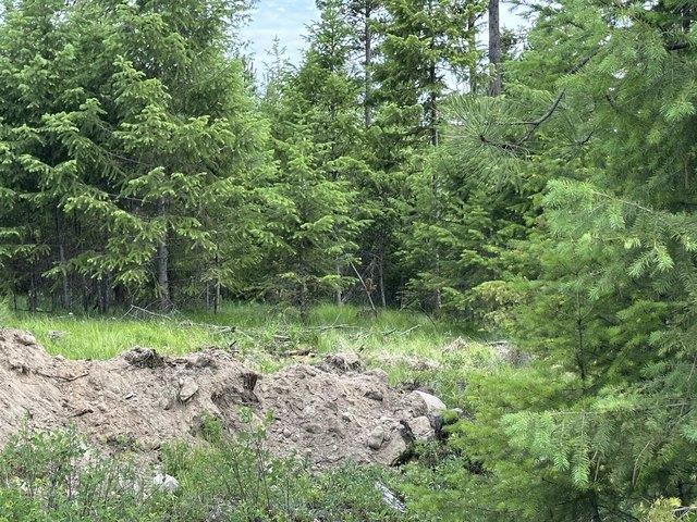 Land for sale in Republic, Washington