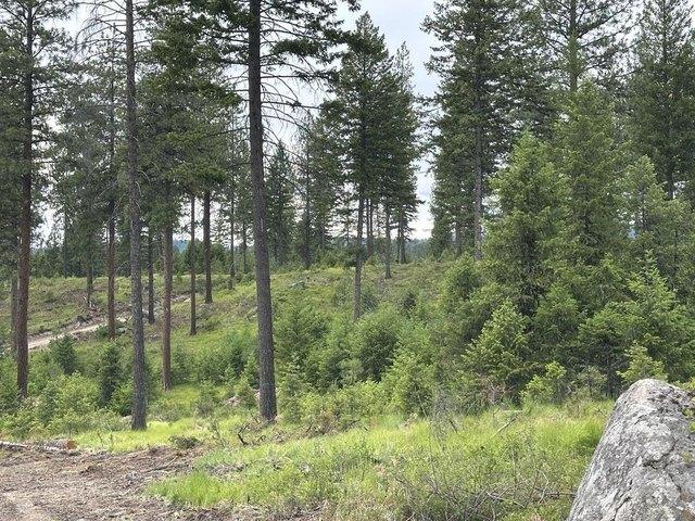 Land for sale in Republic, Ferry County
