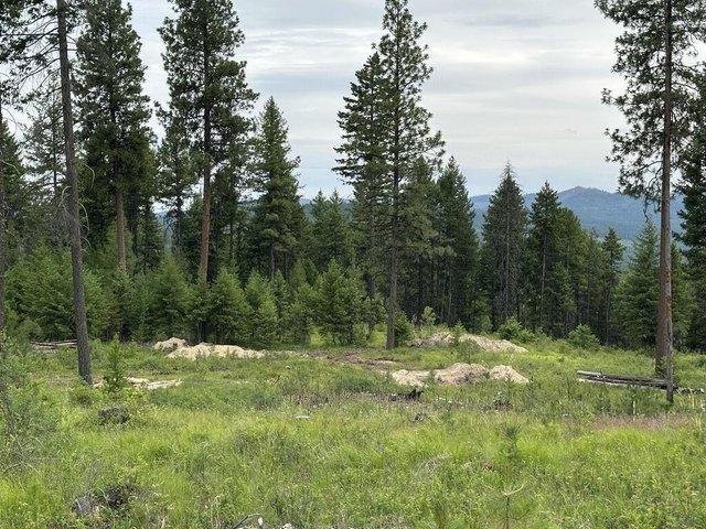 Land for sale in Republic, Washington