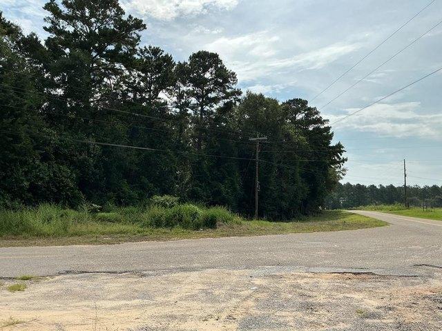 Land for sale in Dozier, Alabama