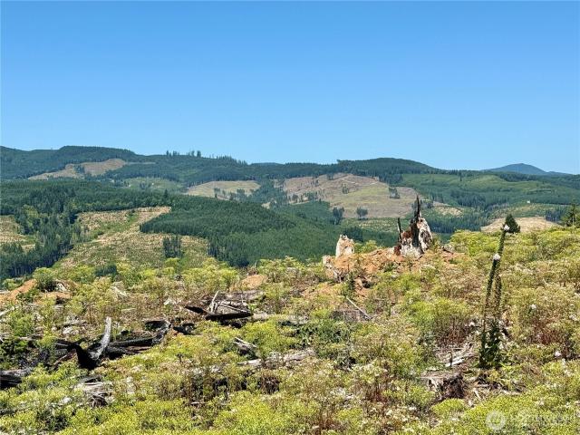 Land for sale in Woodland, Washington