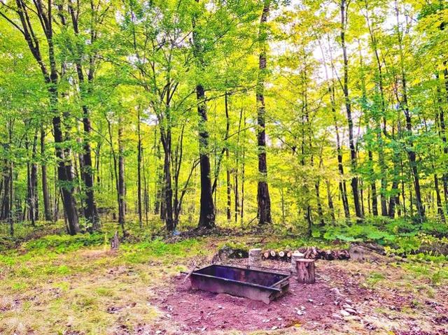 Land for sale in Sandstone, Pine County