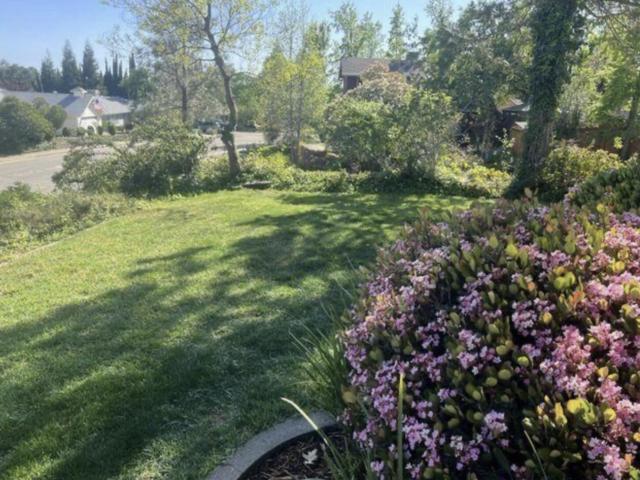 House for sale in Shasta, California