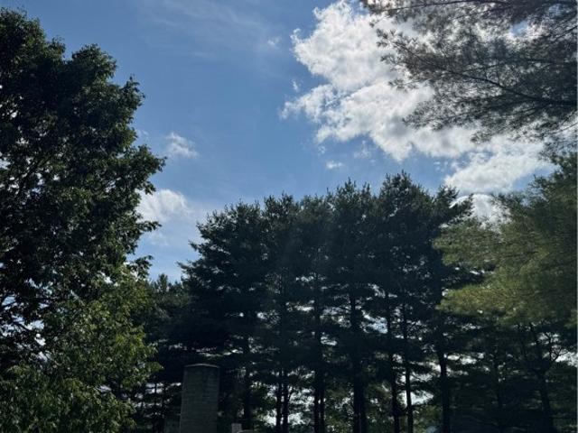 Land for sale in Sardis, Ohio