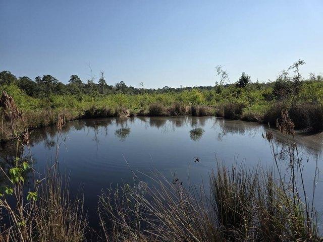 Land for sale in Sour Lake, Hardin County