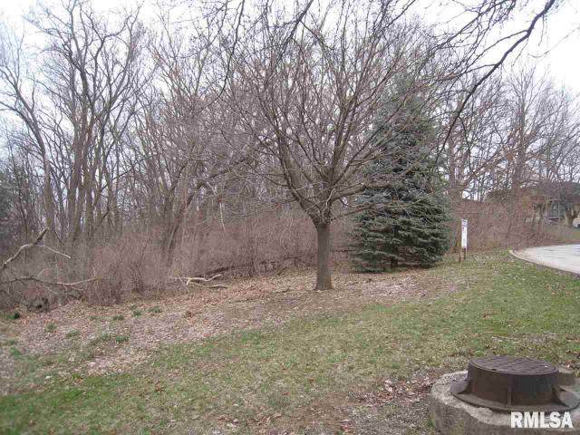 Land for sale in Moline, Illinois