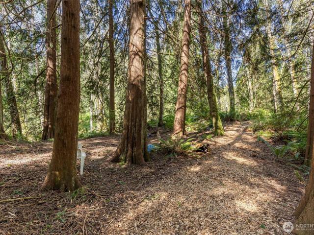 Land for sale in Hansville, Washington