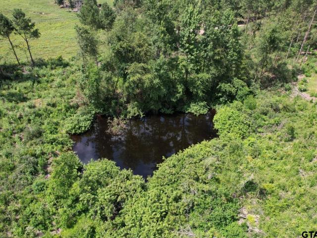 Land for sale in Shelby, Texas