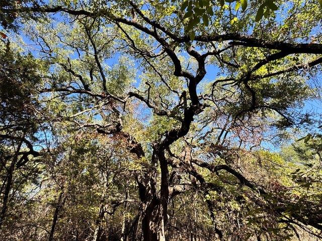 Land for sale in Granbury, Hood County