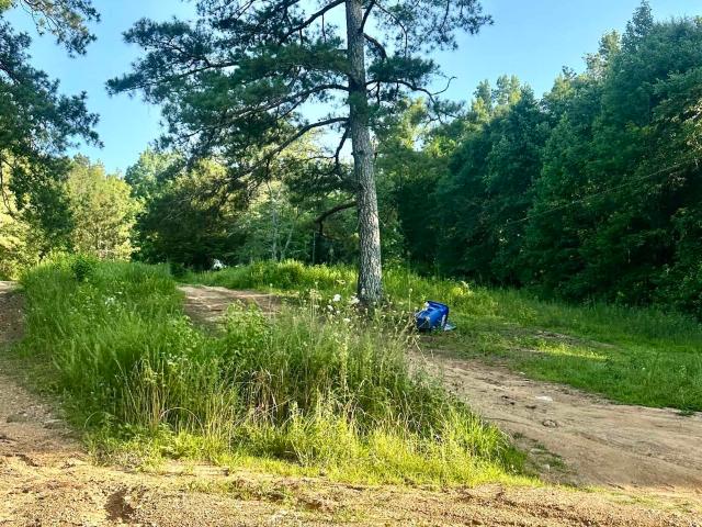 Land for sale in Etowah, Alabama