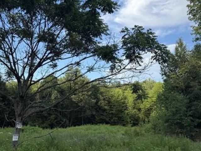 Land for sale in Comstock, New York