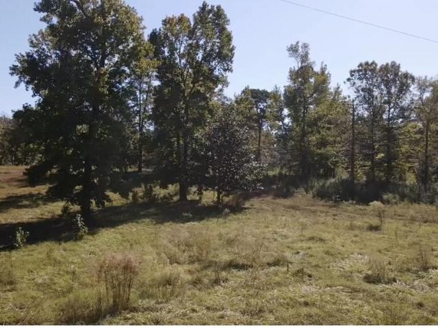 Land for sale in Toledo, Burkeville